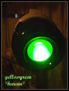 yellowgreen201211