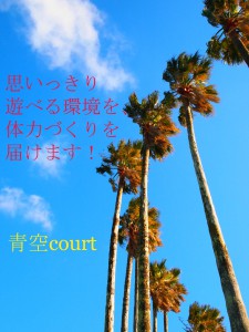 青空ｃｏｕｒｔ2013